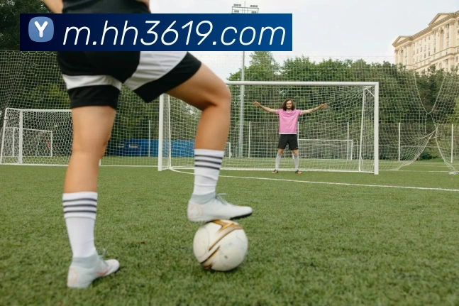 火狐体育官网首页平台生态图